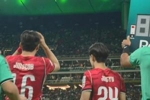 中超唯一独苗！浙江外援朴镇燮替补登场，亮相世界杯！
